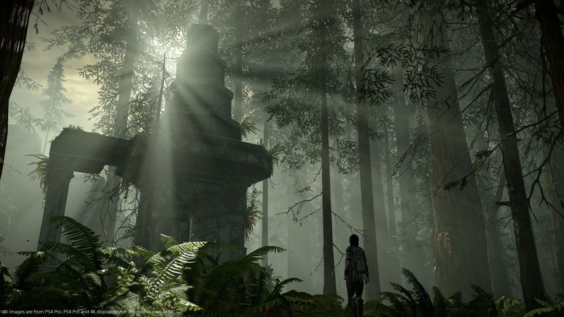 Shadow of the Colossus Remaster